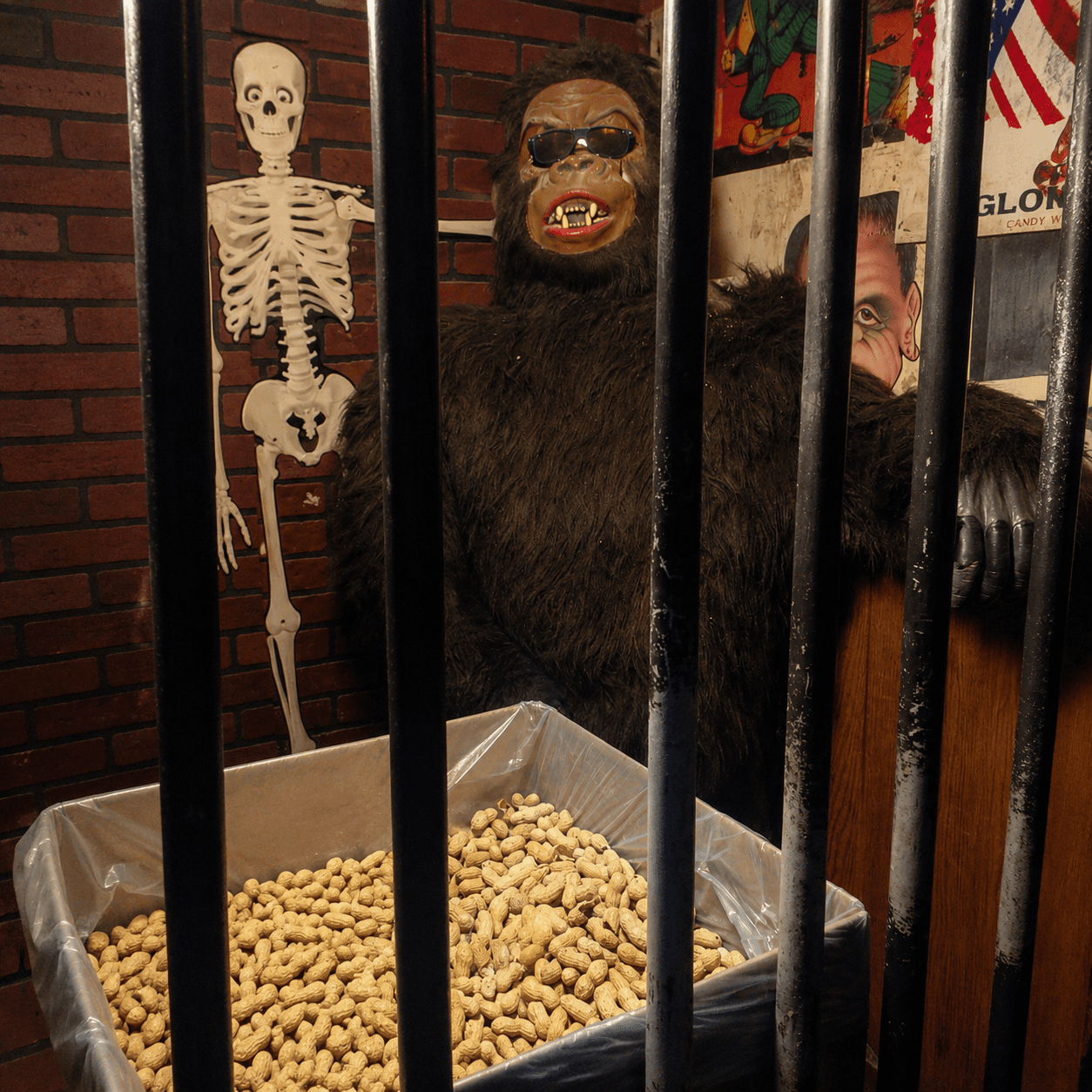 Costume gorilla in a cage next to a bin of peanuts and a plastic skeleton